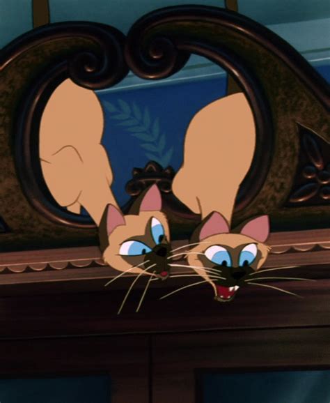You should consider carefully the responsibilities that are involved with owning and caring for a siamese cat. Siamese Cats from "Lady and the Tramp". Some people still ...