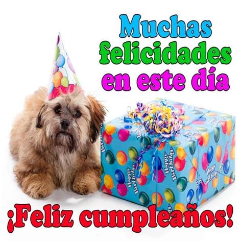 Unicos Mensajes Bonitos Y Frases Originales De Feliz Cumpleaños Feliz