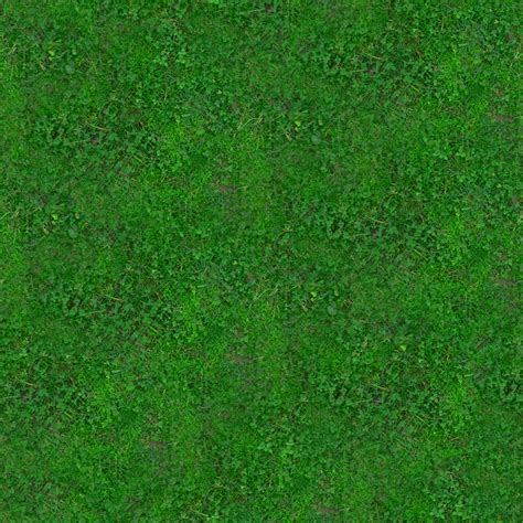30 Grass Textures Tilable Tileable S7002876 Darkpng