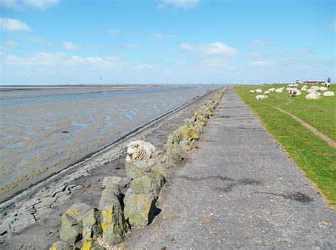 See 3,179 tripadvisor traveller reviews of 66 husum restaurants and search by cuisine, price, location, and more. De 10 bedste tyske restauranter i Husum - TripAdvisor