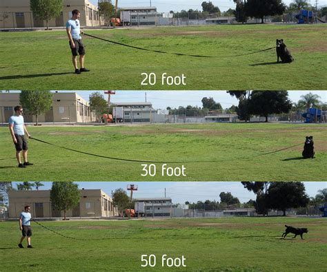 Long Trainer 30 Foot 34 Inch Nylon Dog Training Leash With Storage