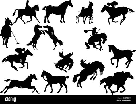 Horse Tail Detail Imágenes Vectoriales De Stock Alamy