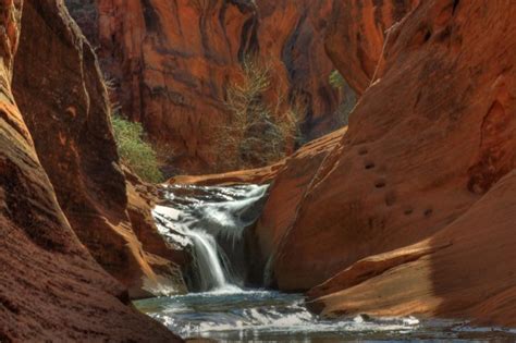 New finds on utah's fruitway: Trip Report Zion, Red Cliffs, Coral Pink and Sand Dune Arch