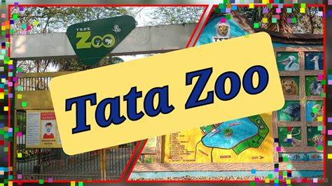 Tour Of Tata Steel Zoological Park Tata Zoo Jamshedpur Zoo Youtube