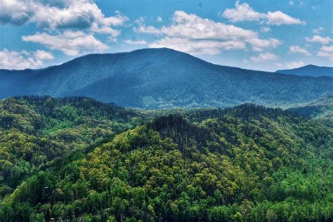 Great Smoky Mountains in the Spring | Great smoky mountains, Smoky mountains, Mountains