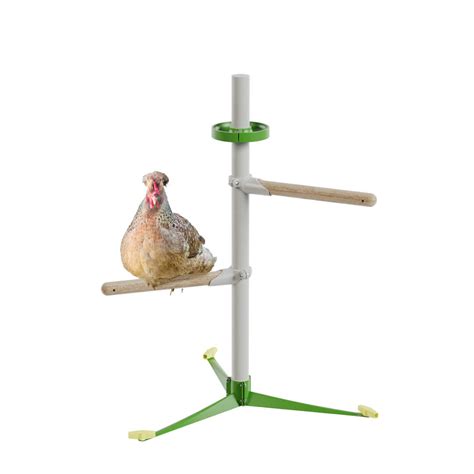 Freestanding Universal Chicken Perch Spring Chicken Kit Omlet