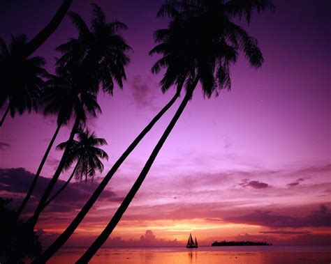 Free Download Tropical Island Beach Scenery Amazing Sunset Desktop