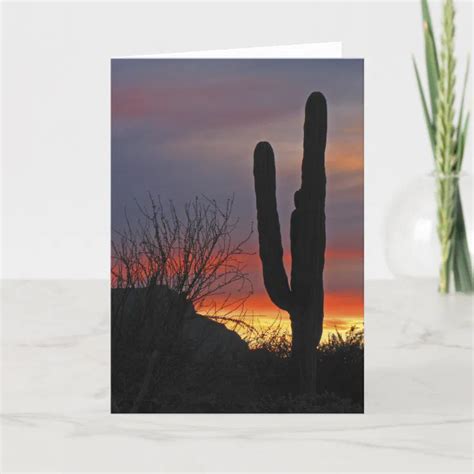 Saguaro Cactus At Sunset Blank Greeting Card Zazzle