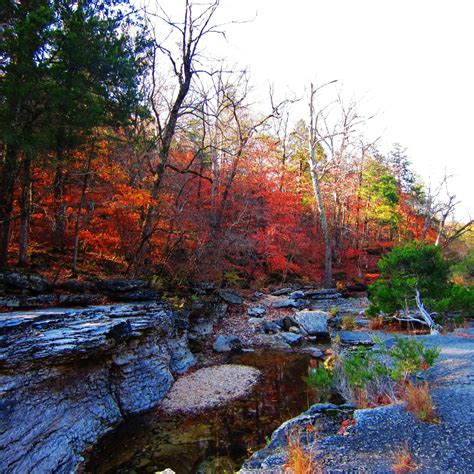 Best mark twain national forest lodging options. Hercules Glade, Mark Twain National Forest, Taney County ...