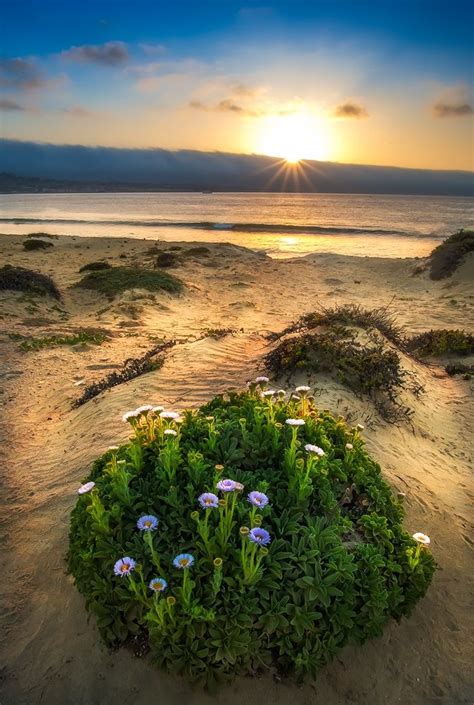 Playa Sunset Monterey California Estados Unidos Beautiful Beach