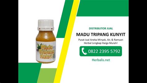 Inilah diantaranya, temulawak dan kunyit. Madu Tripang Kunyit - YouTube