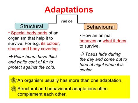 A camel has a hump so it can go without water for a long time. Adaptations For Survival (29 Jun)