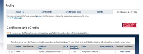 Dont Forget To Use Your Free Delta Air Lines Amex Companion Ticket Or