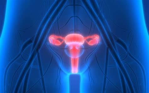 définition cancer de l ovaire futura santé
