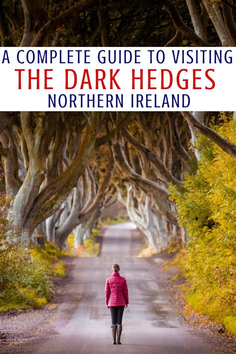 The Dark Hedges In Northern Ireland A Complete Visitors Guide Dark