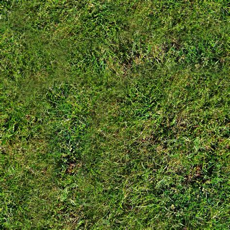 Forest Ground Textures Grass 10 Png