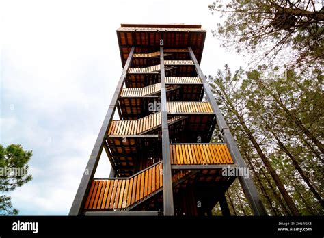Birdwatching Tower Bird Watching Observation Tower In The Forest
