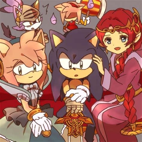 Pin By Aniwis Senpai On Sonic And The Black Knight D Sonic Funny