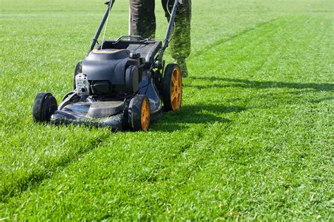 How Much Do Grass Cutting Services Cost In 2023 Checkatrade
