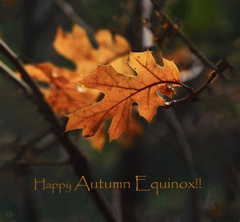Happy Autumn Equinox 2020 Taken At Jenkinson Lake In Sl Flickr