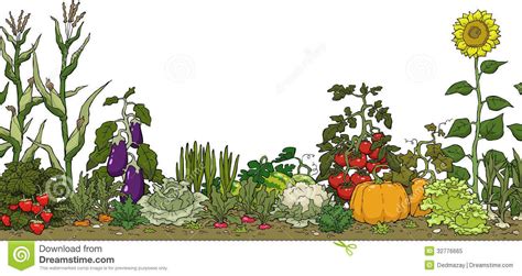 Animated Vegetable Garden Clipart 10 Free Cliparts Download Images On