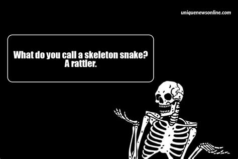 80 Skeleton Jokes And Puns To Make You Laugh Out Loud 2023