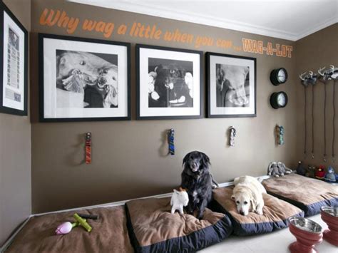 10 Rooms That Are A Dogs Dream