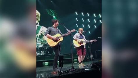 Please fill out the correct information. Ed Sheeran surprises fans at Shawn Mendes concert | Newshub