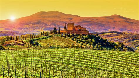 Vineyard In Tuscany Photograph By Deimagine Fine Art America