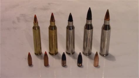 22 250 Vs 243 Vs 204 Ruger Youtube