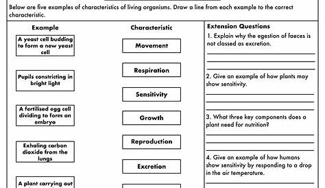 gcse science biology worksheet answers