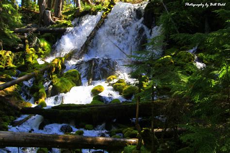 Clearwater Falls Umpqua National Forest Oregon Usa Bill Dahl Flickr