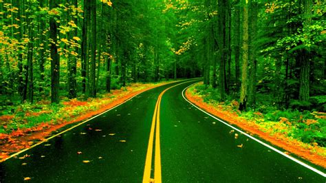 Nature Back Ground Hd Road 1920x1080 Wallpaper
