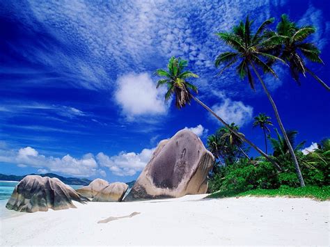 Strand Natuur Tropen Bureaublad Achtergrond 🔥 Gratis Beste Afbeeldingen