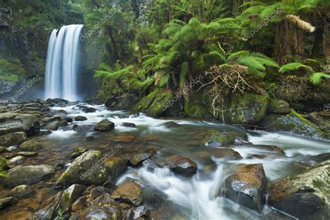 Rainforest Waterfalls Hopetoun Falls Great Otway Np Australia