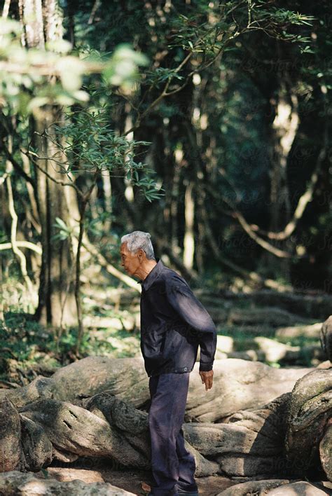 Senior Asian Man In The Wild By Stocksy Contributor Chalit Saphaphak