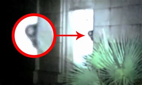 Ghosts Caught On Camera By Ghost Hunters