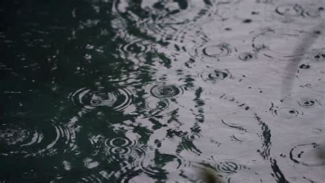 Rain Drops On Water Surface Stock Footage Video 100