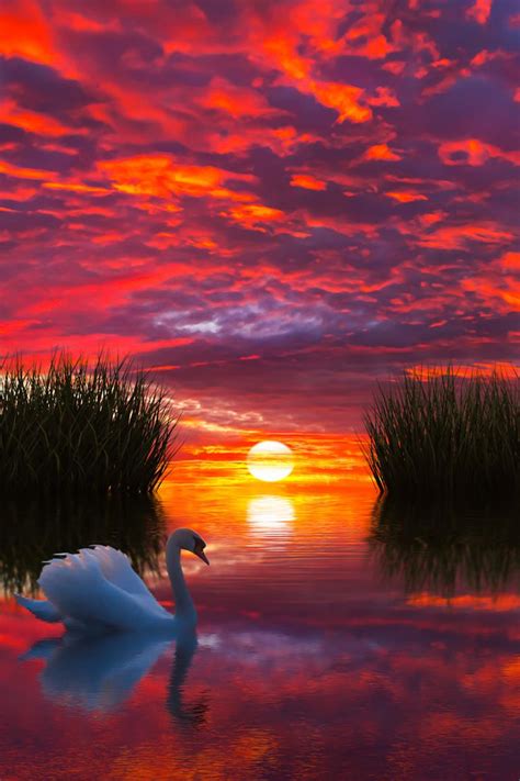 2077 Best Images About Sunrise Sunset On Pinterest