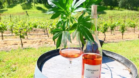 Infusing Wine And Food Events With Cannabis Sevenfifty Daily