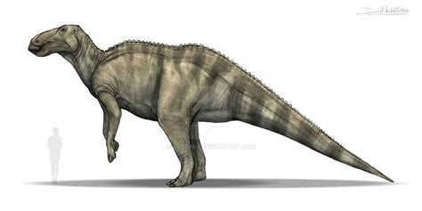 Shantungosaurus By Gredinia On Deviantart Prehistoric Animals