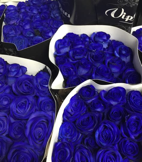 Dozen Blue Rose Bouquet Beechwood Flowers