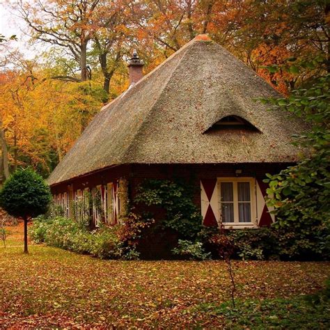 Autumn Cute Little Housei Want Forest Cottage Mountain Cottage