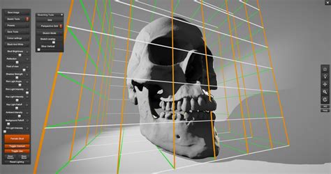 Skull Sketcher V2 Anatomy 360