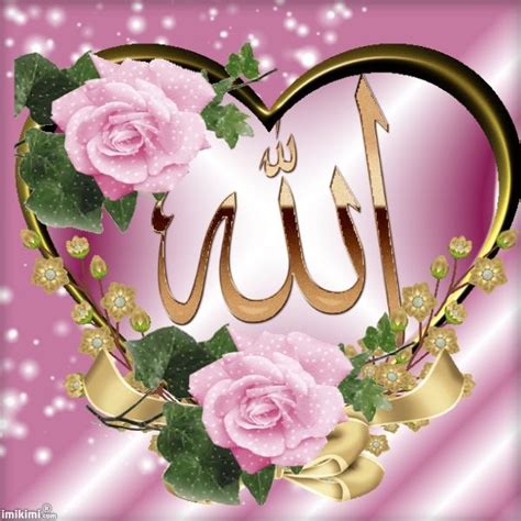 January 2011 ~ allah, islam, quran, wallpapers. Pink Roses | Islamic pictures, Pink roses, Allah