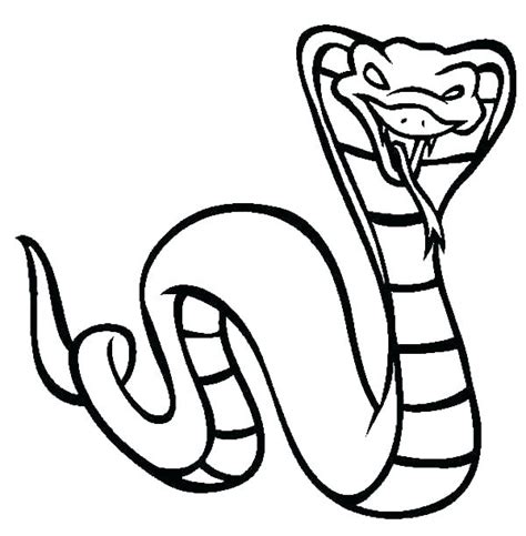 King Cobra Snake Drawing Free Download On Clipartmag