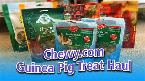 Guinea Pig Treat Haul From Chewy Youtube