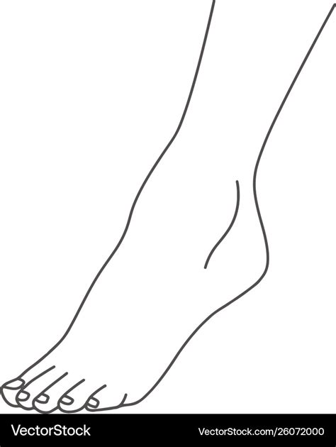 Female Foot Leg Standing On Toes Line Drawing Vector Image