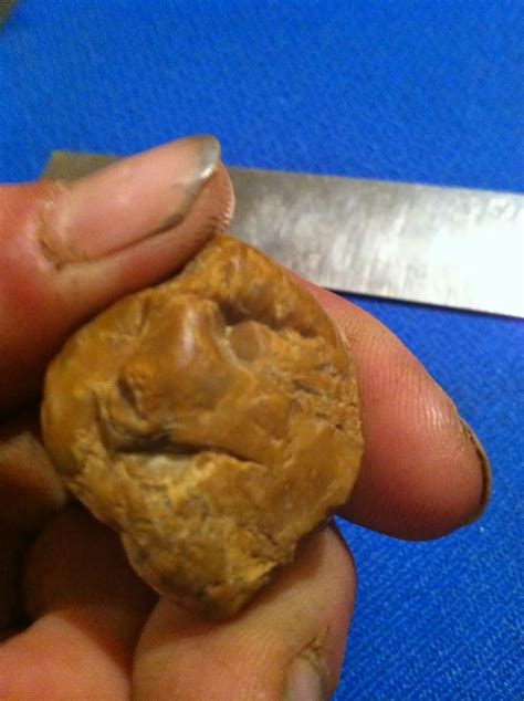 East Texas Indian Artifacts Arrowheadsflintpaleo Pointsknives