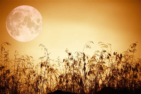 Summer Full Moon Ritual